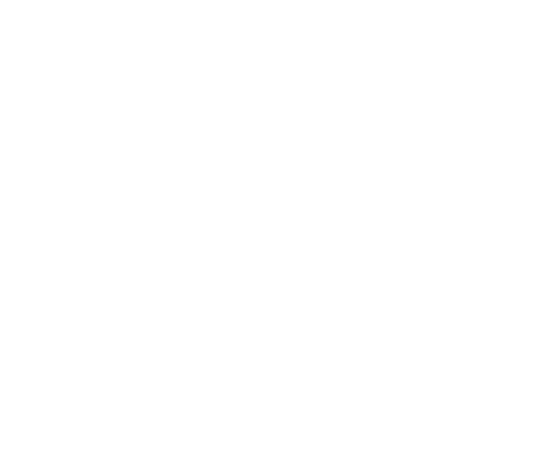 PolygonVisuals_StackedLogo_Orange